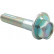 Camber Correction Screw