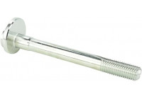 Camber Correction Screw