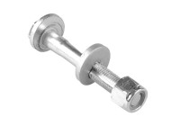 Camber correction screw