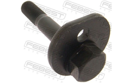 Camber Correction Screw