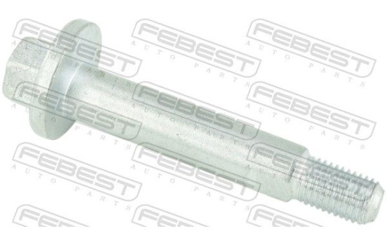 Camber Correction Screw