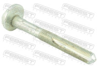 Camber Correction Screw