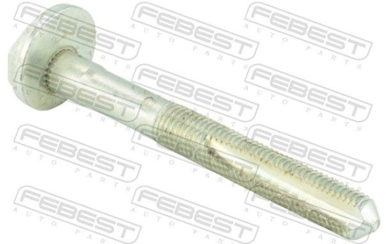 Camber Correction Screw