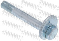Camber Correction Screw
