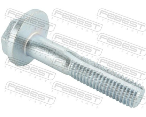 Camber Correction Screw