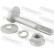 Camber Correction Screw