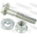 Camber Correction Screw