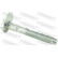 Camber Correction Screw