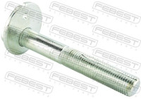 Camber Correction Screw