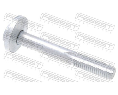 Camber Correction Screw