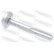 Camber Correction Screw