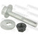 Camber Correction Screw