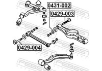 Camber Correction Screw