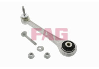 Control arm, wheel suspension 821 0169 10 FAG