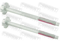 Fastening Bolts, control arm