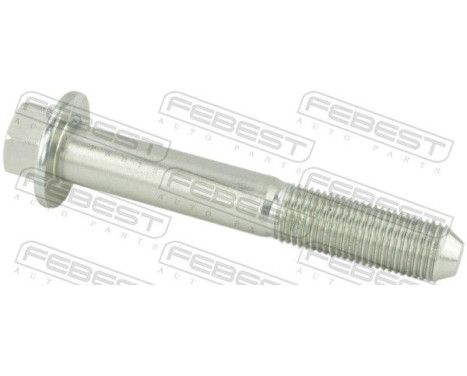Fastening Bolts, control arm