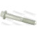 Fastening Bolts, control arm