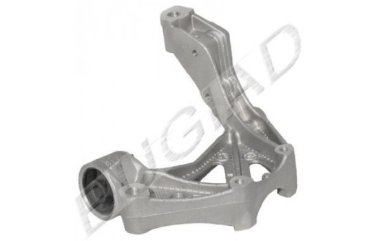 Holder, control arm mounting BSP20325 Bugiad