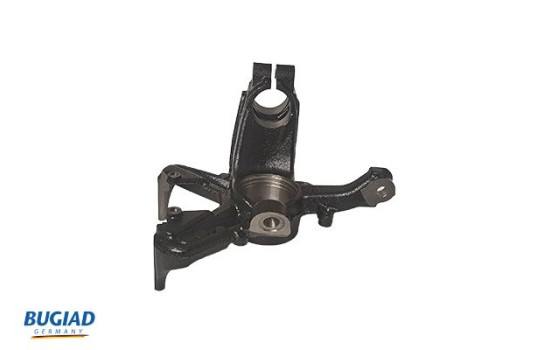 Stub Axle, wheel suspension BSP20014 Bugiad