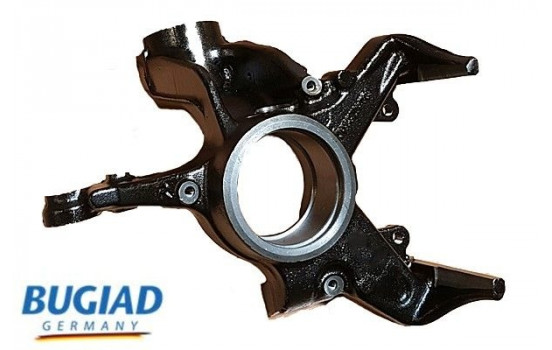 Stub Axle, wheel suspension BSP20022 Bugiad
