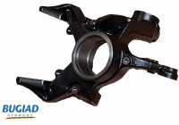 Stub Axle, wheel suspension BSP20308 Bugiad
