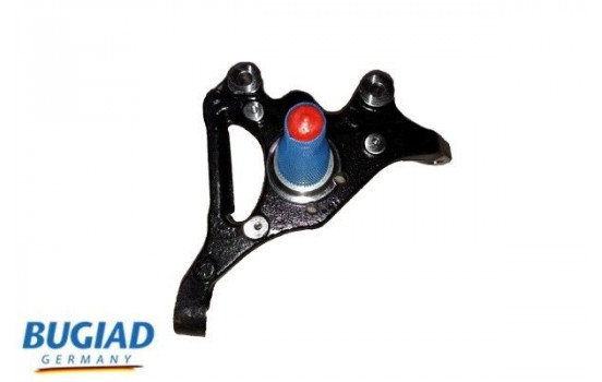 Stub Axle, wheel suspension BSP25046 Bugiad