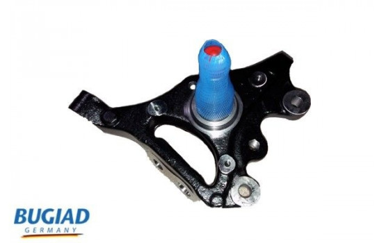 Stub Axle, wheel suspension BSP25047 Bugiad