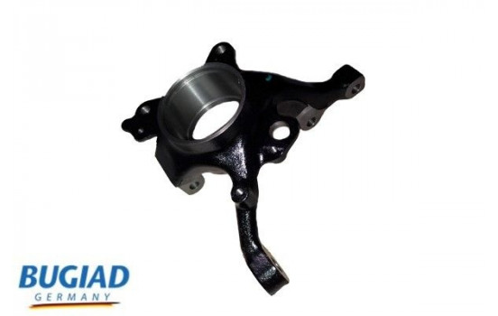 Stub Axle, wheel suspension BSP25050 Bugiad