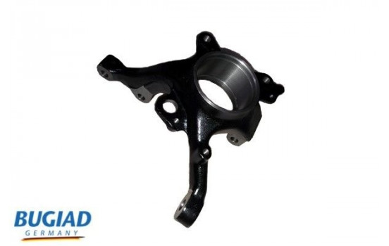 Stub Axle, wheel suspension BSP25051 Bugiad