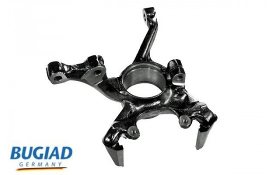 Stub Axle, wheel suspension BSP25137 Bugiad