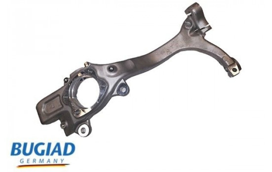 Stub Axle, wheel suspension BSP25138 Bugiad