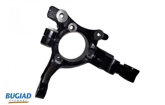 Stub Axle, wheel suspension BSP25163 Bugiad