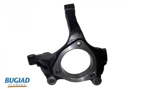 Stub Axle, wheel suspension BSP25172 Bugiad