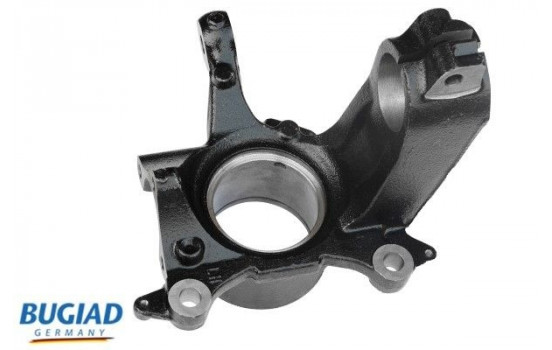 Stub Axle, wheel suspension BSP25287 Bugiad