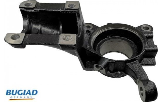 Stub Axle, wheel suspension BSP25289 Bugiad