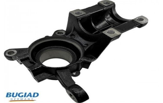 Stub Axle, wheel suspension BSP25290 Bugiad