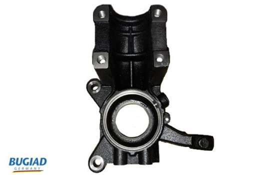 Stub Axle, wheel suspension BSP25291 Bugiad