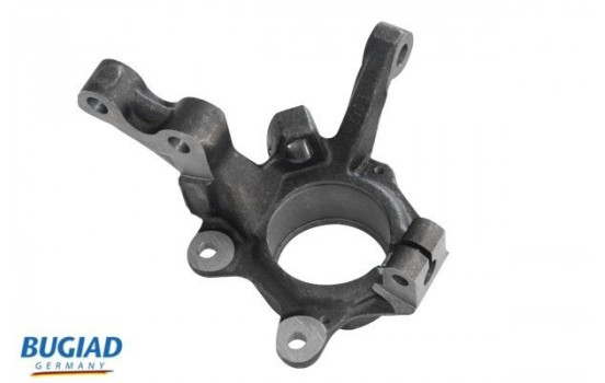Stub Axle, wheel suspension BSP25295 Bugiad
