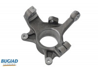 Stub Axle, wheel suspension BSP25298 Bugiad
