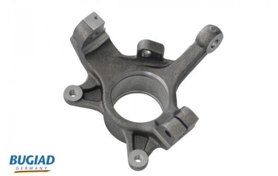 Stub Axle, wheel suspension BSP25298 Bugiad