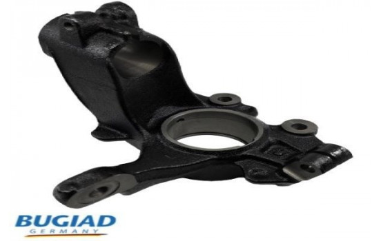 Stub Axle, wheel suspension BSP25317 Bugiad