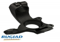 Stub Axle, wheel suspension BSP25321 Bugiad