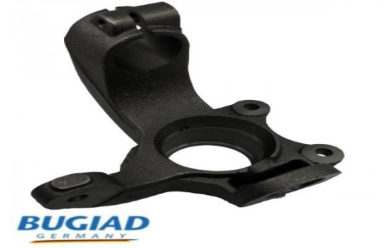 Stub Axle, wheel suspension BSP25321 Bugiad