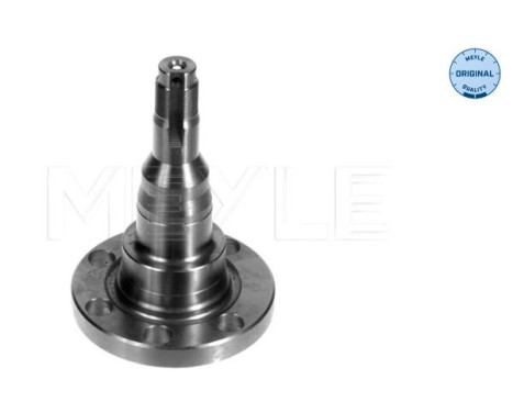 Stub Axle, wheel suspension MEYLE-ORIGINAL Quality 100 501 1010, Image 2