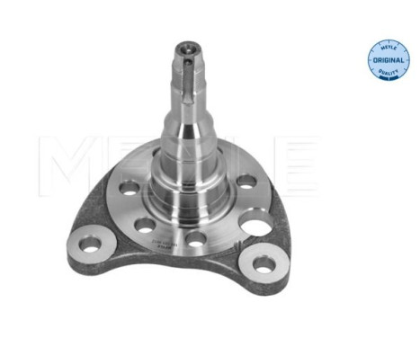 Stub Axle, wheel suspension MEYLE-ORIGINAL: True to OE. 100 501 0012, Image 3