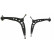 Suspension arm Set
