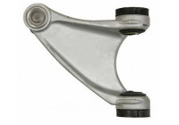 Track Control Arm 210000 ABS