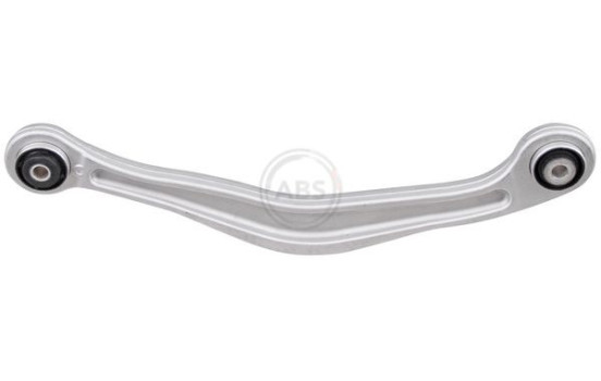 Track Control Arm 210101 ABS