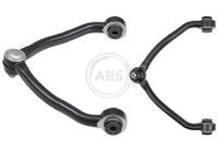 Track Control Arm 210531 ABS
