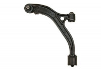 Track Control Arm 210905 ABS